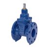 Gate valve Series: EKO-B Type: 21004 Ductile cast iron/EPDM PN16 Flange DN40